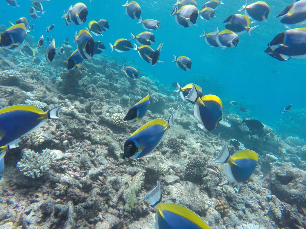 Salt Beach Hotel Maafushi Luaran gambar