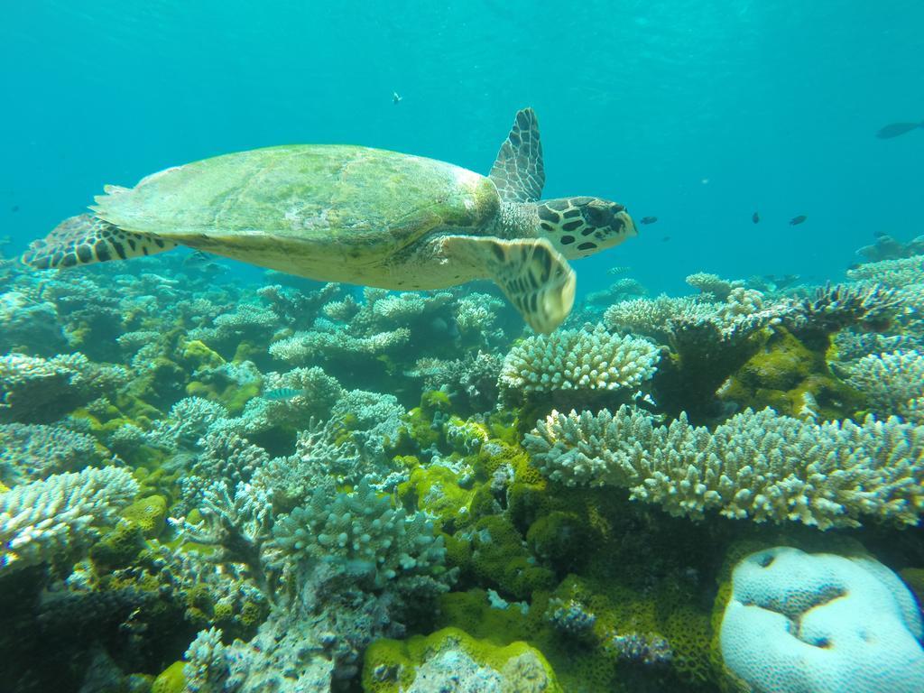 Salt Beach Hotel Maafushi Luaran gambar