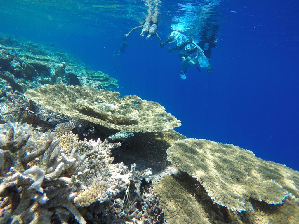 Salt Beach Hotel Maafushi Luaran gambar